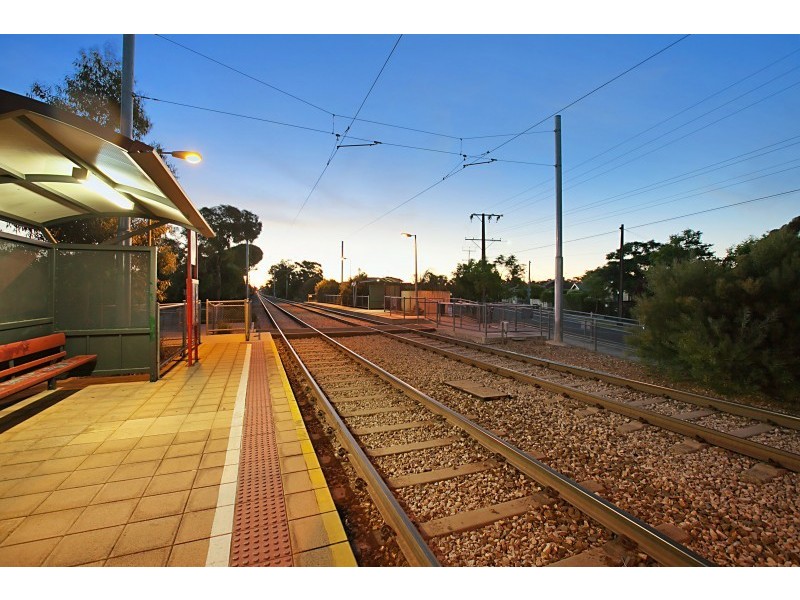 20 Ferry Avenue, Plympton Park SA 5038