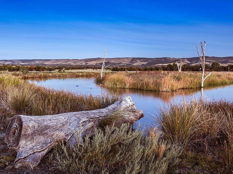 22 Cobalt Place, Aldinga Beach SA 5173