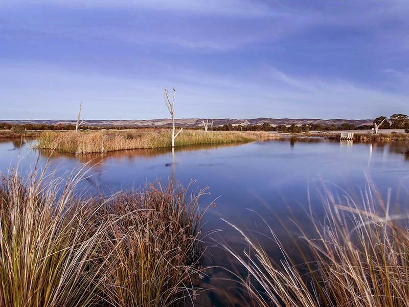 22 Cobalt Place, Aldinga Beach SA 5173