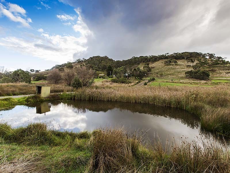 294 Nangkita Road, Mount Compass SA 5210