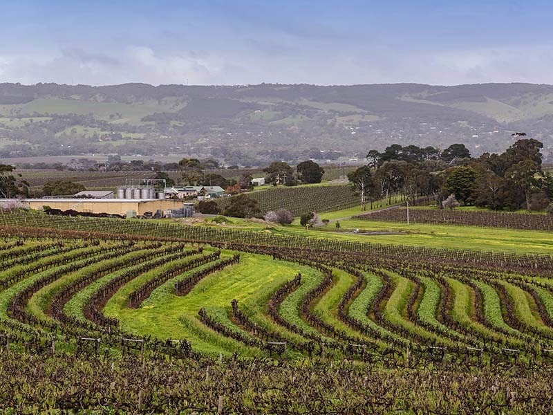 1D Pridmore Avenue, Mclaren Vale SA 5171