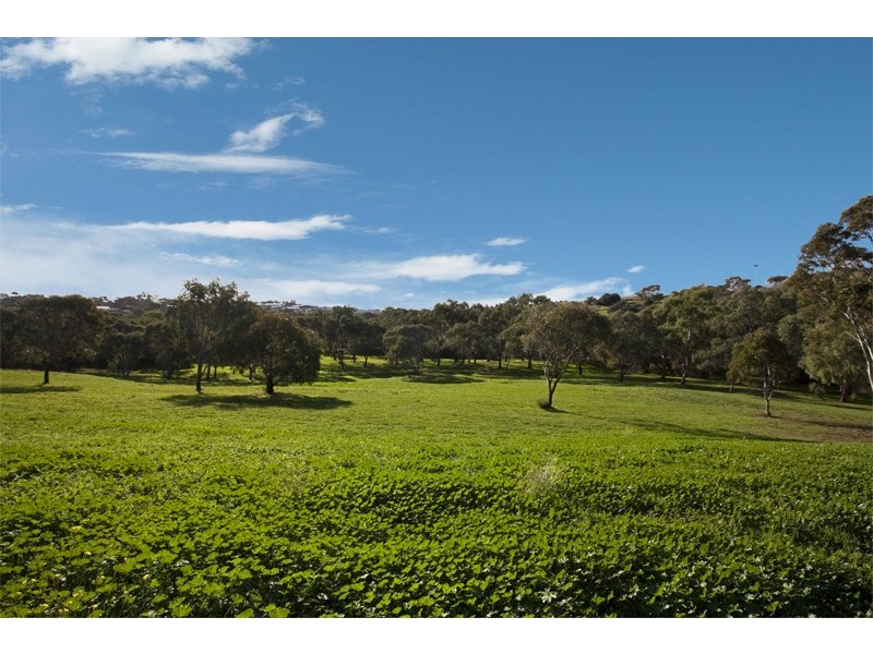 11 Damian Court, Christie Downs SA 5164