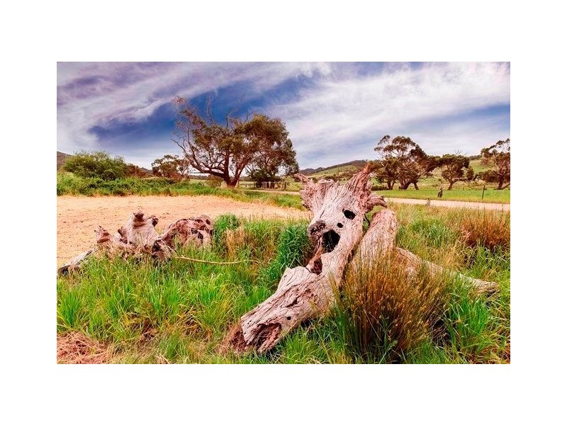 366 Nangkita Road, Nangkita SA 5210