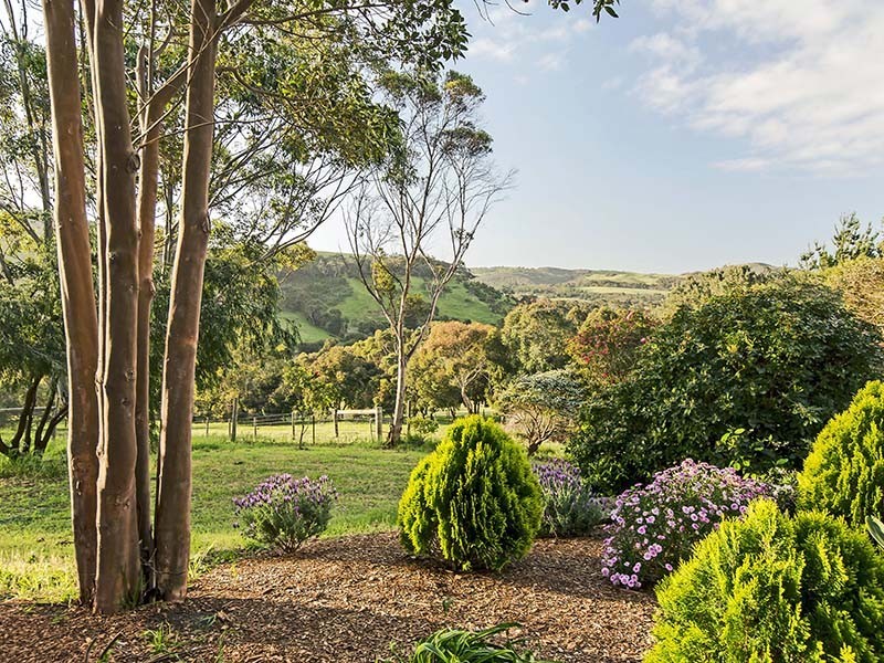 264 Nangkita Road, Mount Compass SA 5210