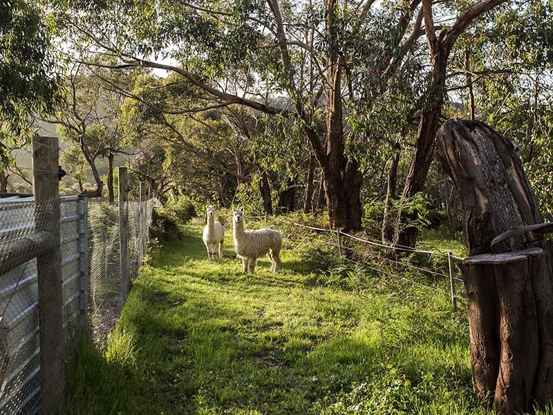 264 Nangkita Road, Mount Compass SA 5210