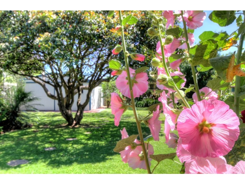 14 Gladstone Road, North Brighton SA 5048