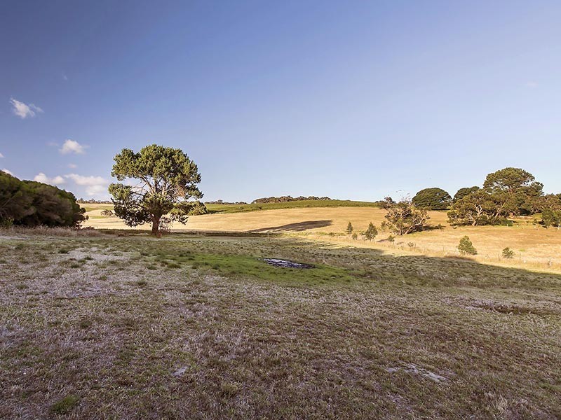 733 Nangkita Road, Nangkita SA 5210