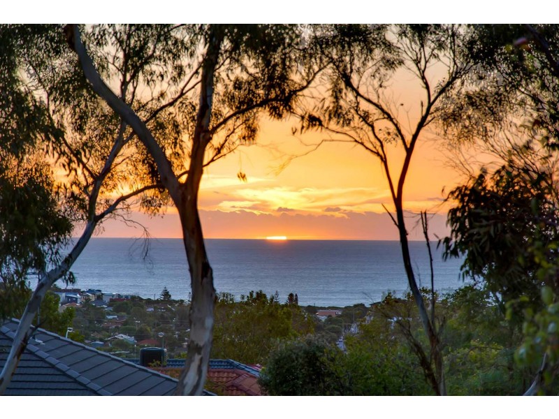 13 Hazeltine Drive, Seaford Rise SA 5169