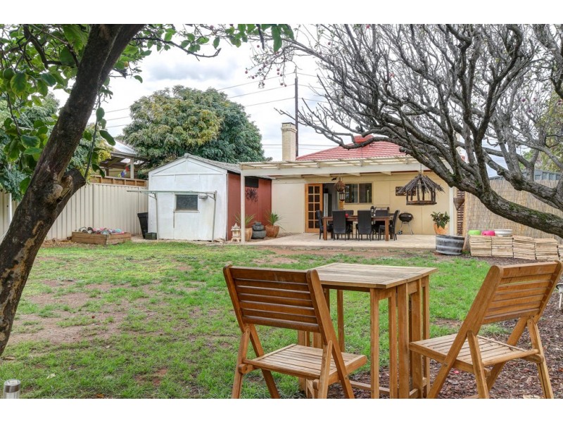 11 Springbank Road, Colonel Light Gardens SA 5041