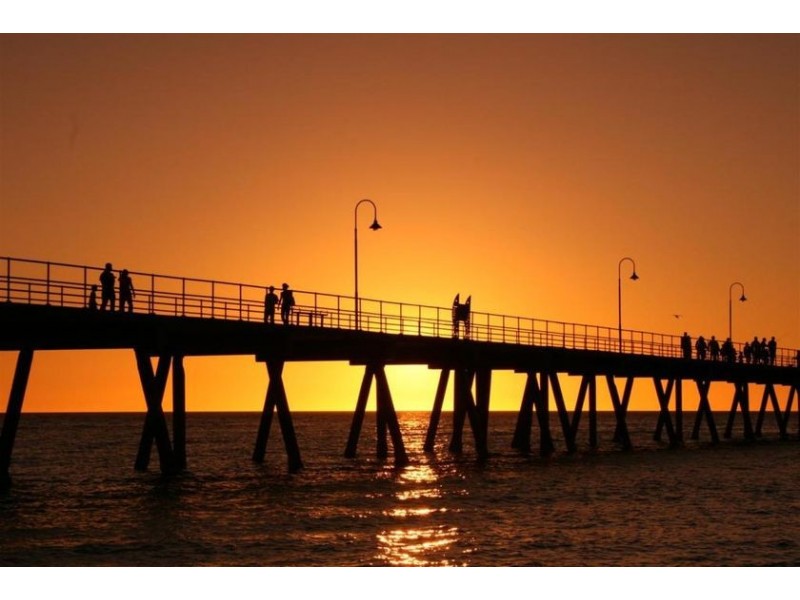 701, 7 Don Terrace, Morphettville SA 5043