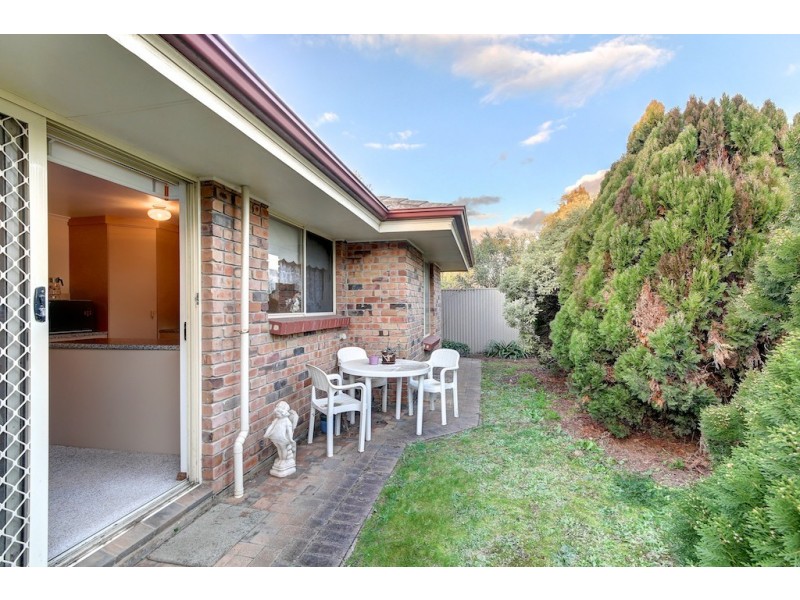 7b Cecelia Street, Hove SA 5048