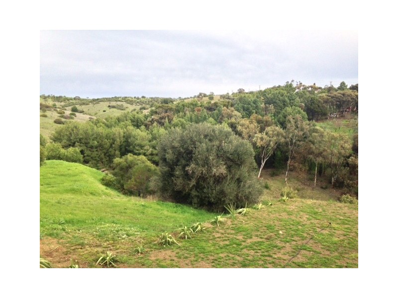 11 Spinks Road, Marino SA 5049