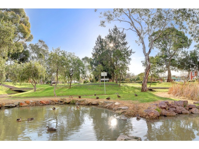 3 Abbey Road, Mitchell Park SA 5043