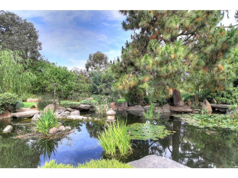 13/274 South Terrace, Adelaide SA 5000