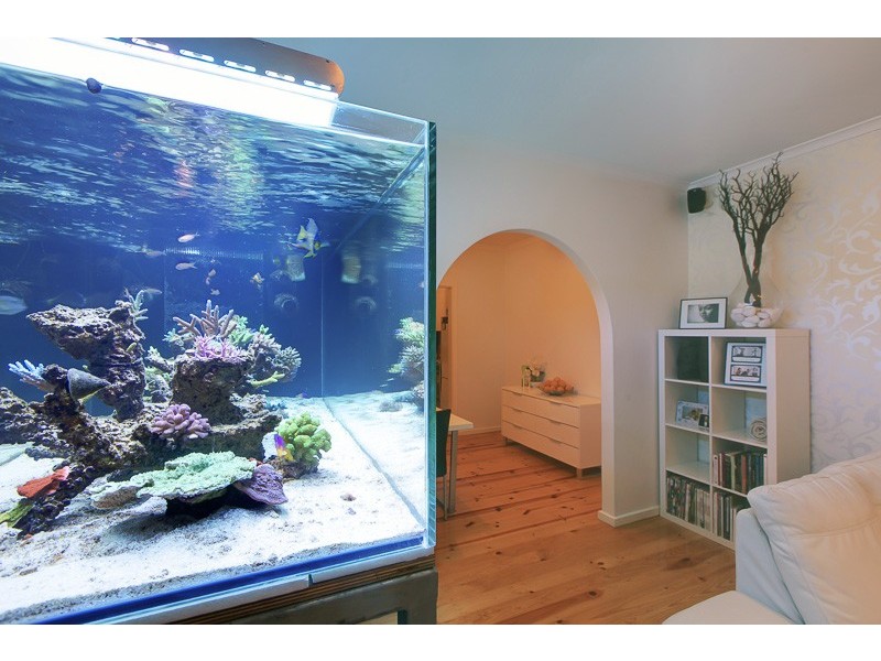 4/38 Salisbury Street, Unley SA 5061