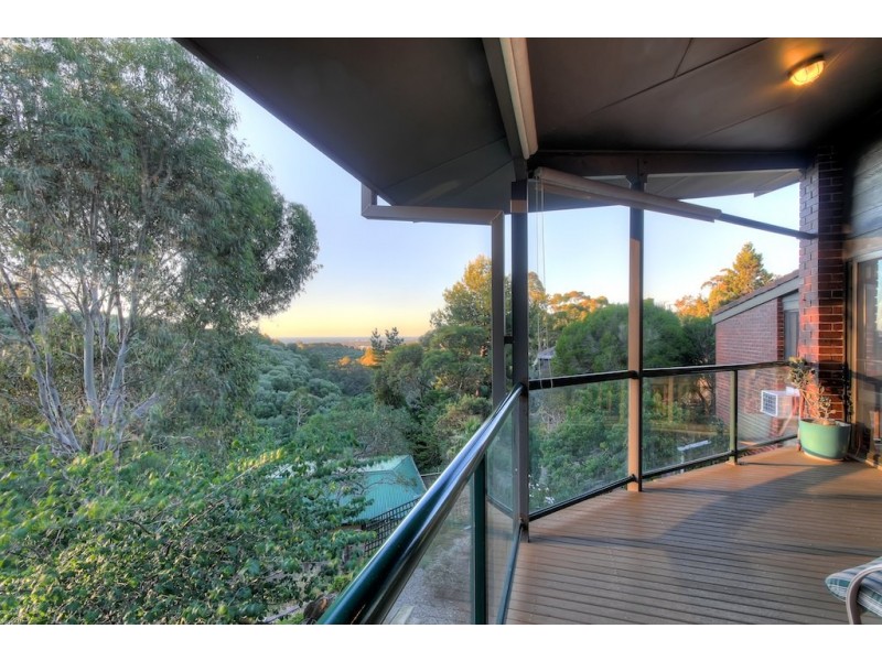 14 Salvador Street, Flagstaff Hill SA 5159