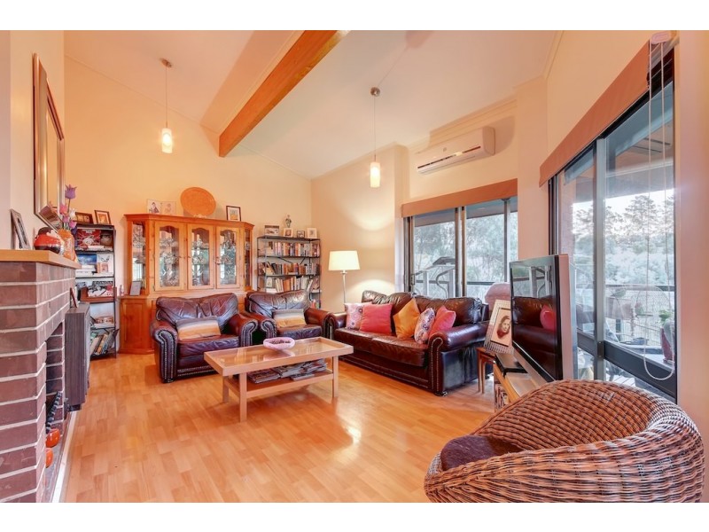 14 Salvador Street, Flagstaff Hill SA 5159