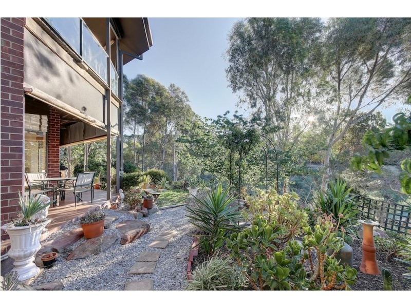 14 Salvador Street, Flagstaff Hill SA 5159