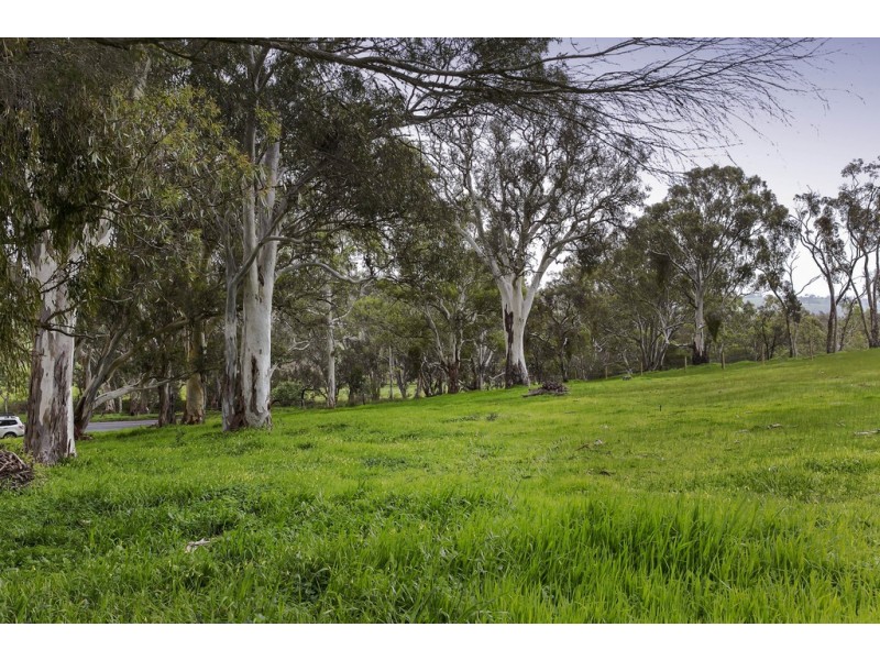 1585 Bull Creek Road, Ashbourne SA 5157