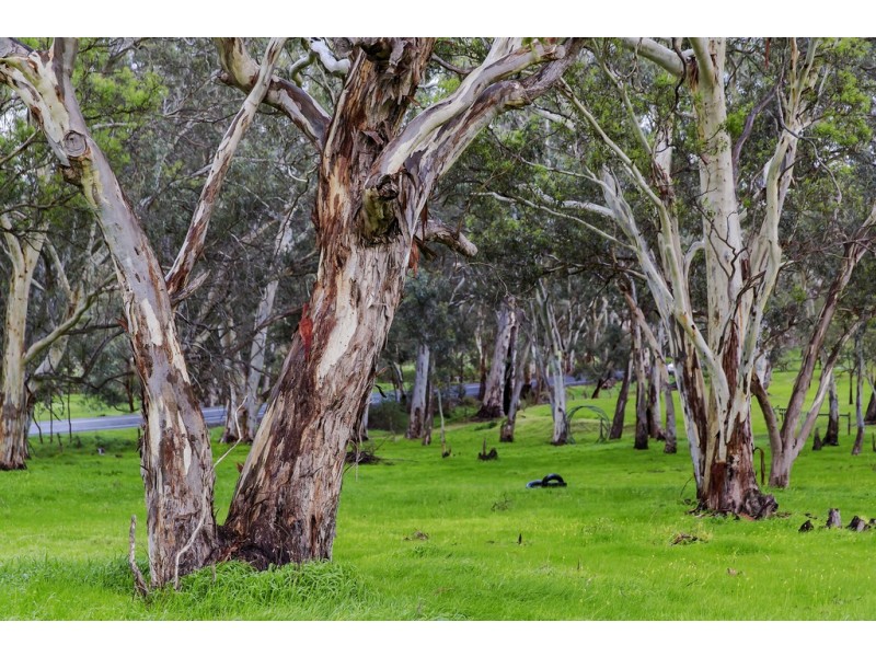 1585 Bull Creek Road, Ashbourne SA 5157