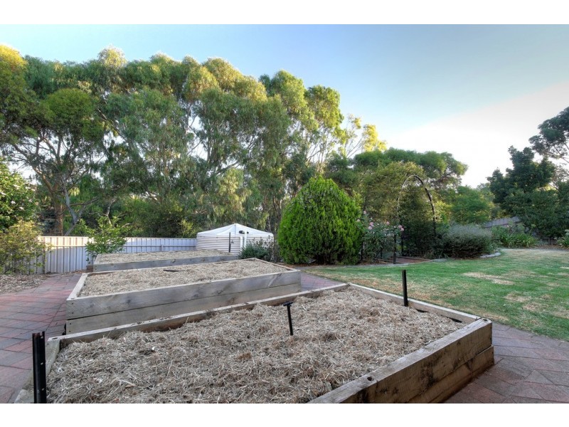 19 Cove Circuit, Seaford Rise SA 5169