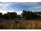 8 Lichen Walk, Aldinga Beach SA 5173