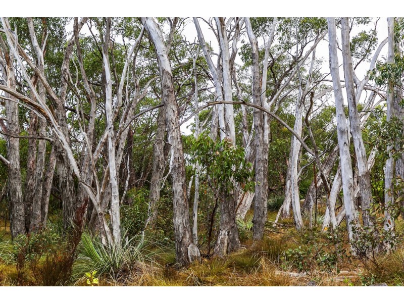 317b Ackland Hill Road, Coromandel East SA 5157