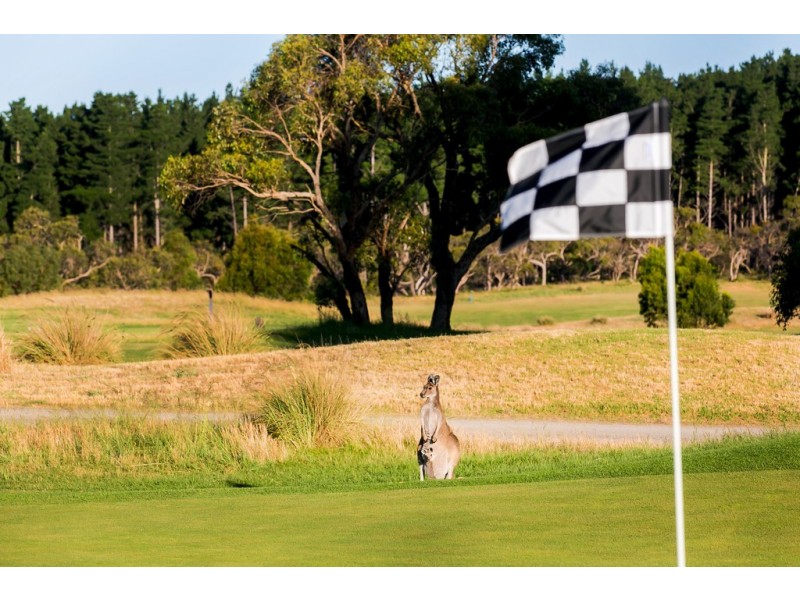 82 George Francis Drive, Mount Compass SA 5210