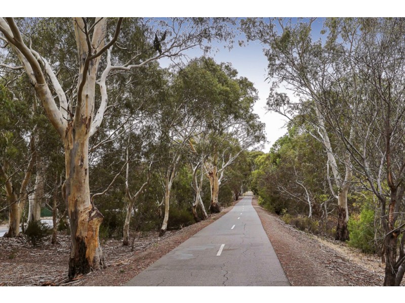 2 Marita Street, Morphett Vale SA 5162