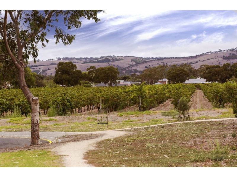 31 Summer Street, Mclaren Flat SA 5171