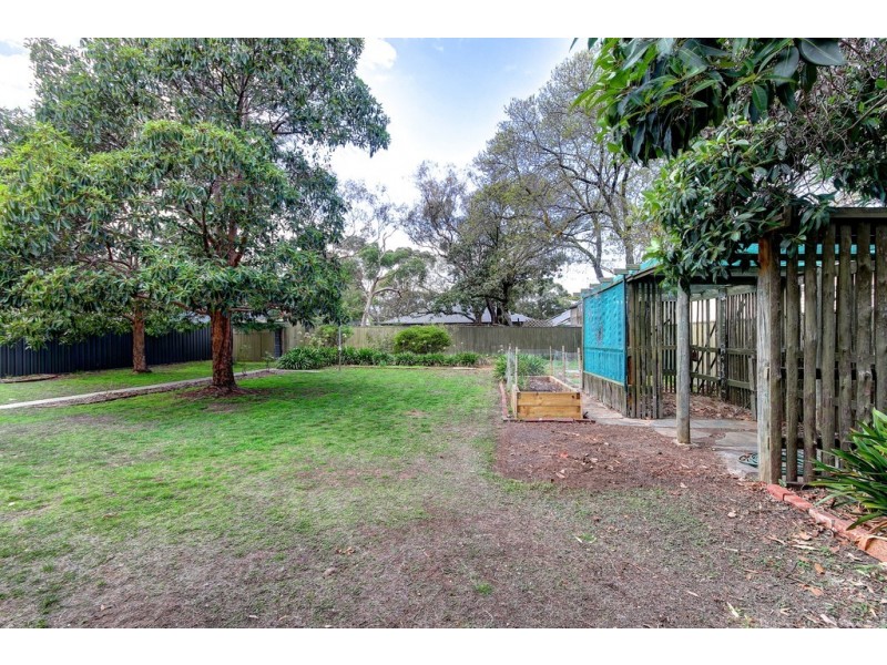 59 Gloucester Avenue, Belair SA 5052