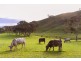 162 Nunn Road, Myponga SA 5202
