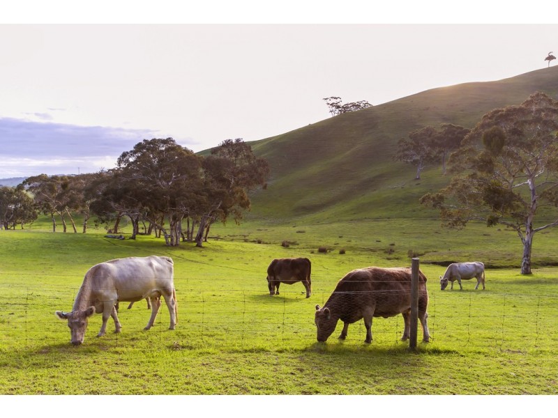 162 Nunn Road, Myponga SA 5202