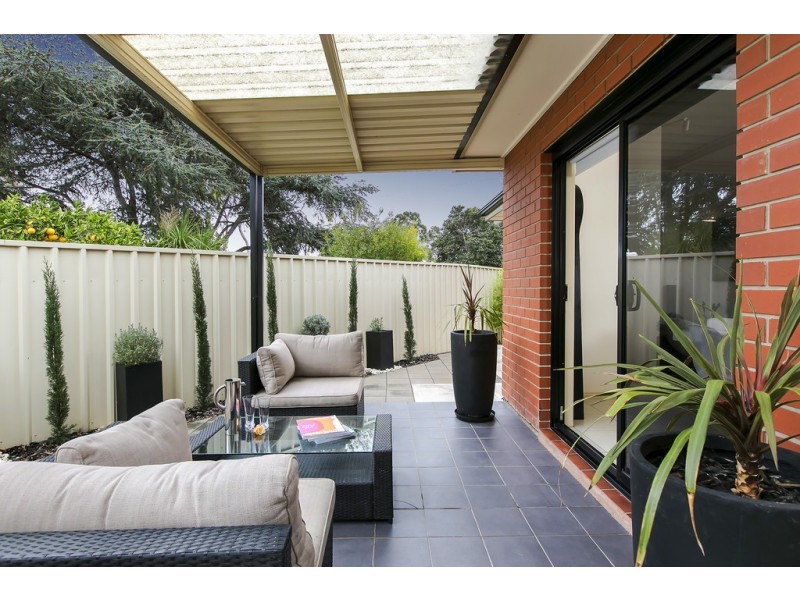 10b Renfrey Street, Oaklands Park SA 5046