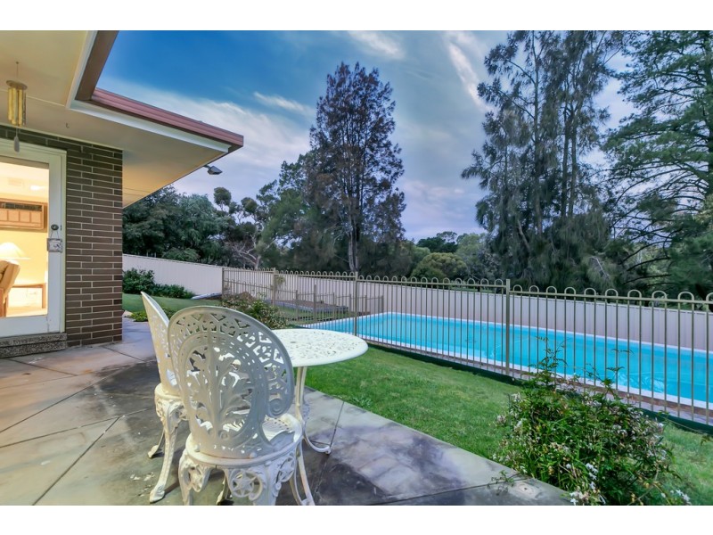 31 Ridgway Drive, Flagstaff Hill SA 5159