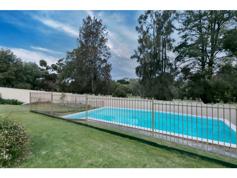 31 Ridgway Drive, Flagstaff Hill SA 5159