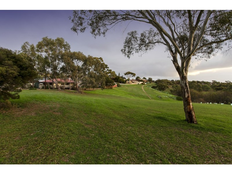 18 Owen Court, Christie Downs SA 5164