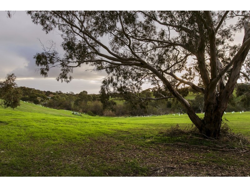 18 Owen Court, Christie Downs SA 5164