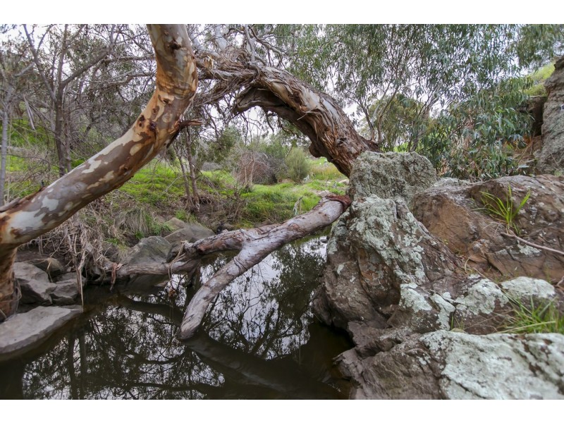 18 Owen Court, Christie Downs SA 5164