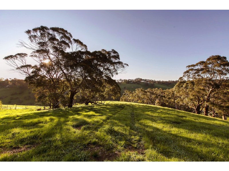 17 Cut Hill Road, Kangarilla SA 5157