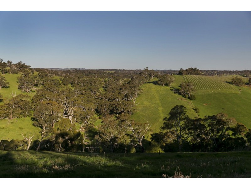 17 Cut Hill Road, Kangarilla SA 5157