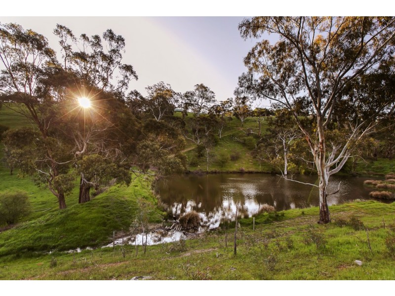 17 Cut Hill Road, Kangarilla SA 5157