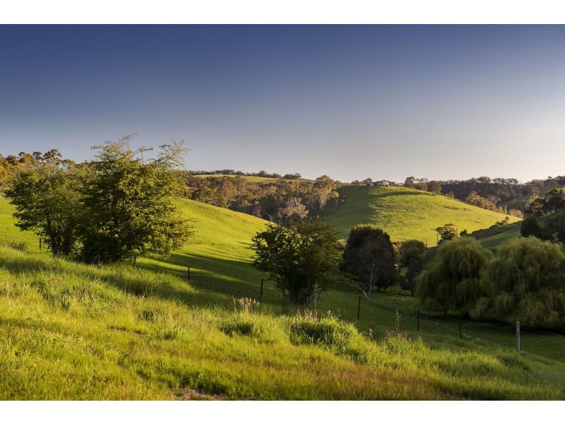 17 Cut Hill Road, Kangarilla SA 5157
