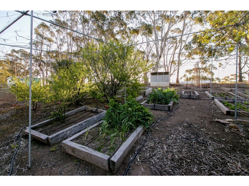 17 Cut Hill Road, Kangarilla SA 5157