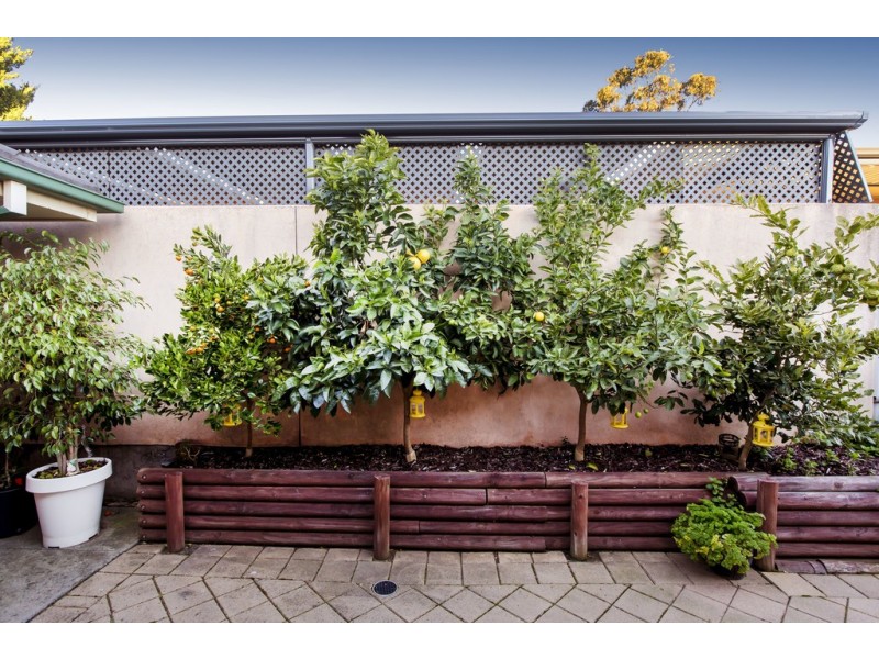 22 Gleneagles Road, Aberfoyle Park SA 5159