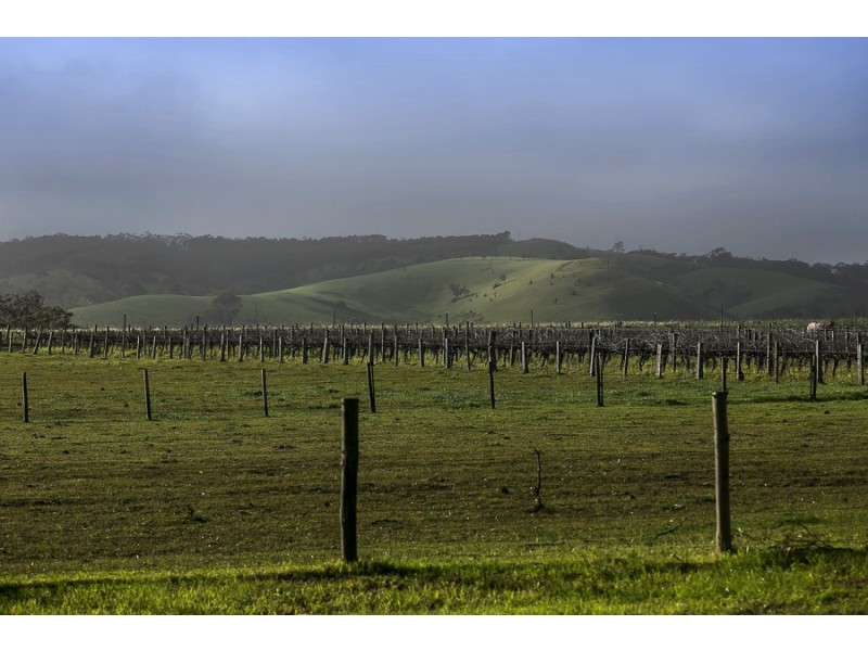 65 Oakley Road, Mclaren Flat SA 5171