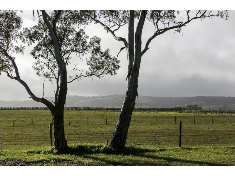 65 Oakley Road, Mclaren Flat SA 5171