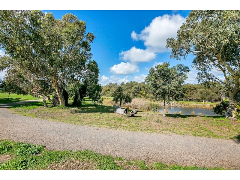 6 Lichen Walk, Aldinga Beach SA 5173
