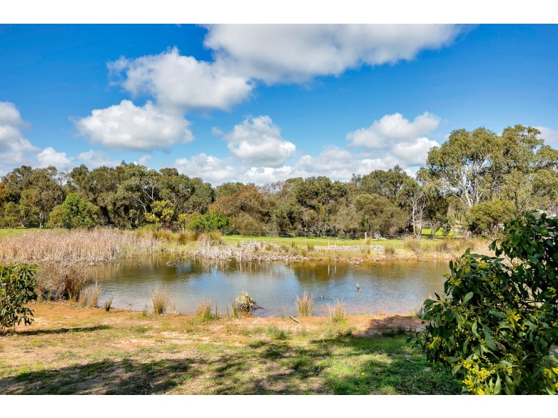 6 Lichen Walk, Aldinga Beach SA 5173