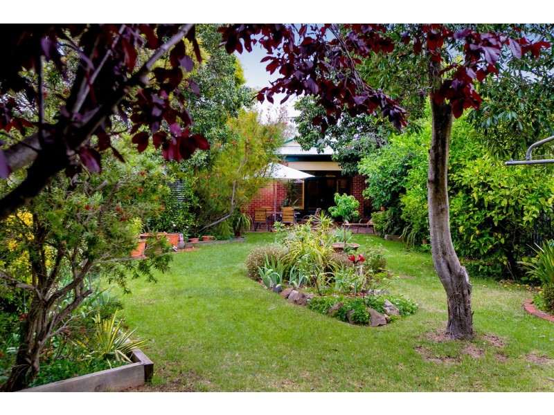 60 George Street, Clarence Park SA 5034